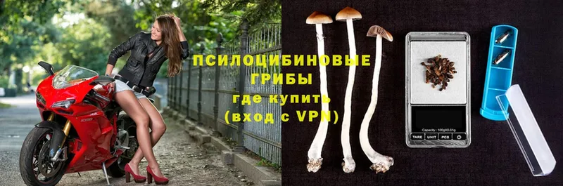 Псилоцибиновые грибы Magic Shrooms  Вилючинск 